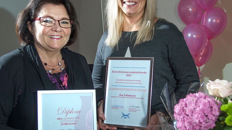 Årets rosa hjältar 2013