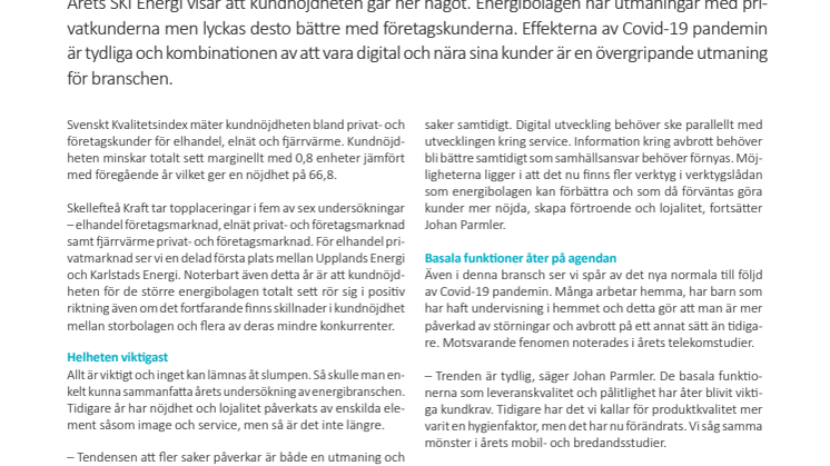 Helheten viktigast när kunderna betygsätter energibranschen