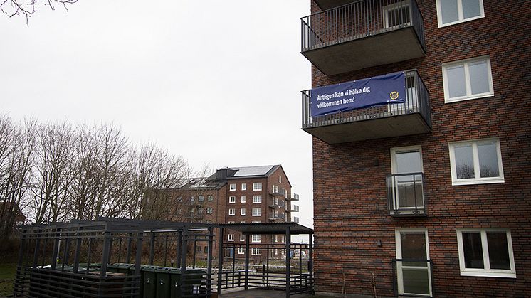 HÖKÖPINGE4.jpg
