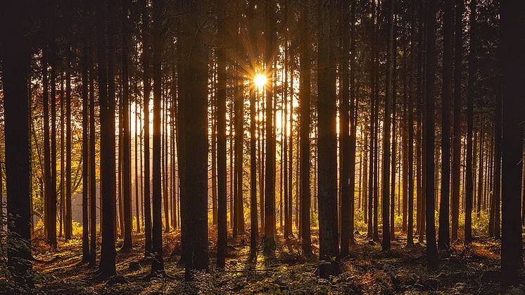 Hela Skåne består av platser som väntar på att bli upptäckta.