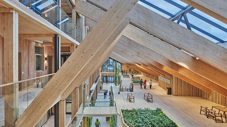 De två anläggningarna, bostadshuset och vårdcentralen, är separerade till två byggnader och även fastigheter men sammanlänkade genom den gemensamma glasgallerian, Sinnenas galleria, och det gröna taket.