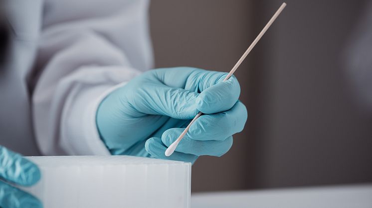 lab