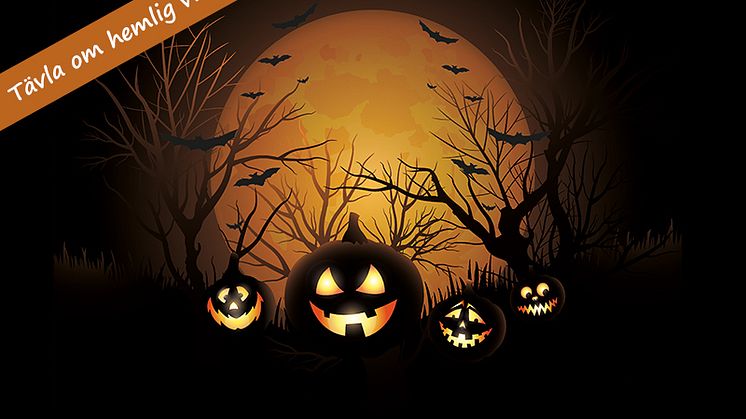 Halloweenbus i Procurators butiker