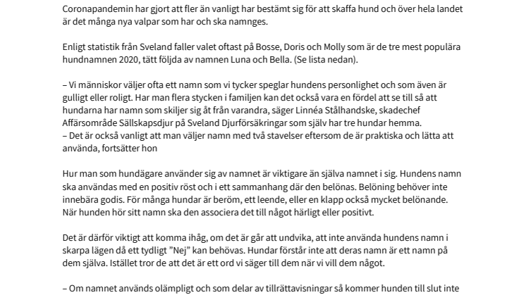 Det här döper vi våra valpar till 2020 – hur namnet sedan används är det viktigaste