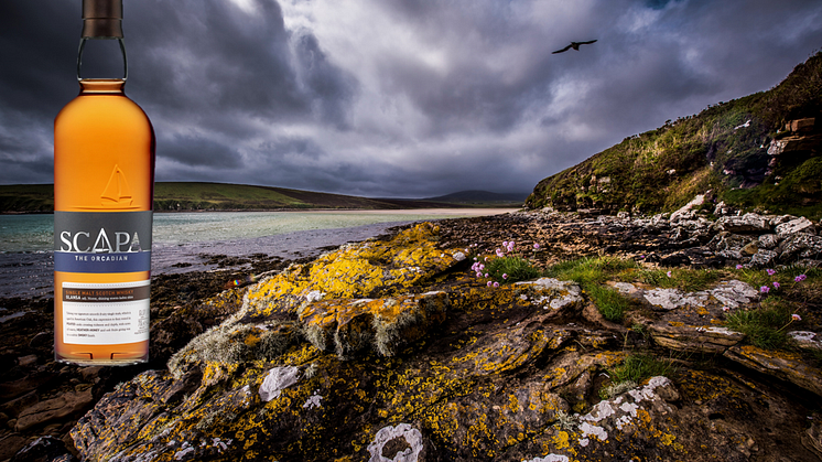 Scapa Glansa