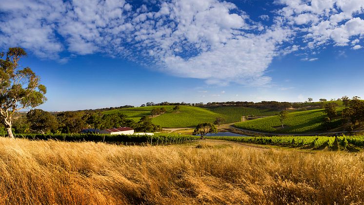 Longview Nebbiolo Rosato återigen i tillfälligt sortiment