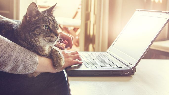Ermitteln Sie Ihr Homeoffice-Potenzial (Bildquelle: © ESB Professional - shutterstock.com)