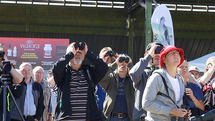 Spanar du efter nya kunder?
