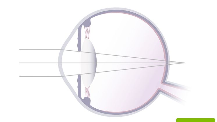 langsynet_print