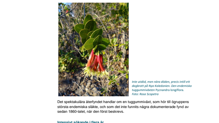 Utdöd art ”återuppstånden”