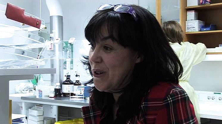Gisela Barbany-Bustinza: Avancerad analysteknik avgörande vid leukemi
