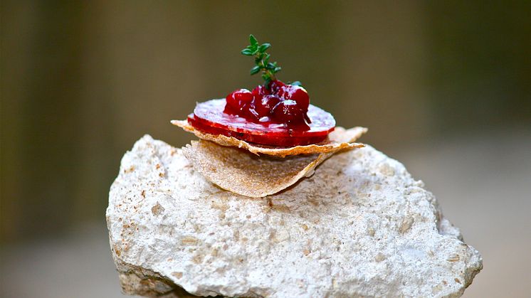 Elk Salami from Hygns Vilt, Värmland, Sweden