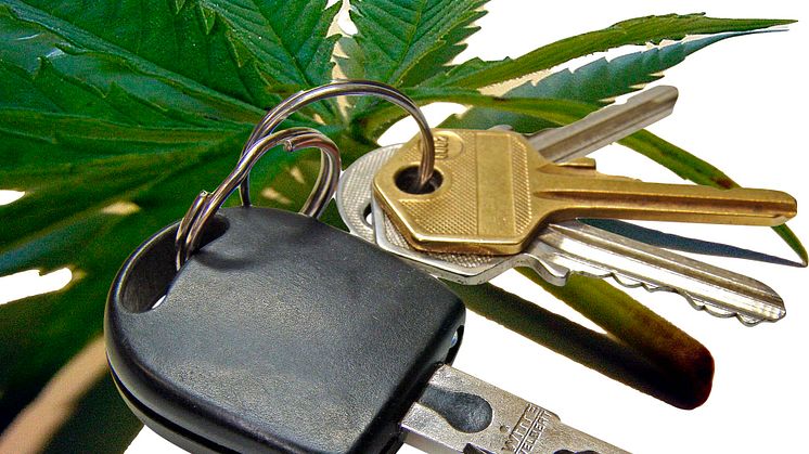 BADS: „Empfehlung für Cannabis-Grenzwert kritisch“