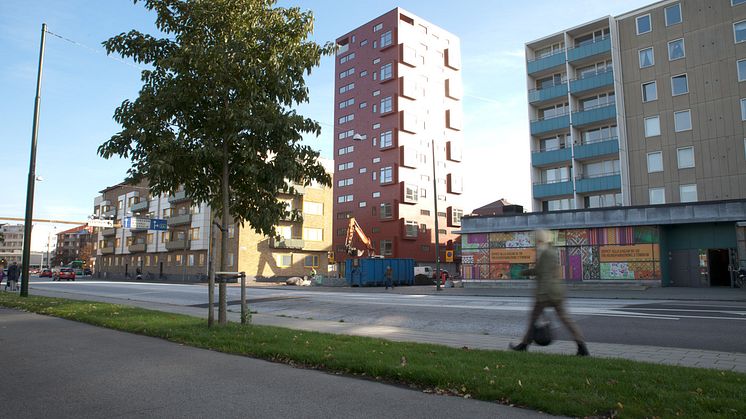 Bohus 5, vy