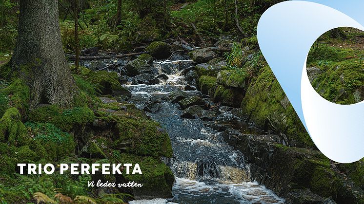 Nu blir ännu fler produkter blyfria