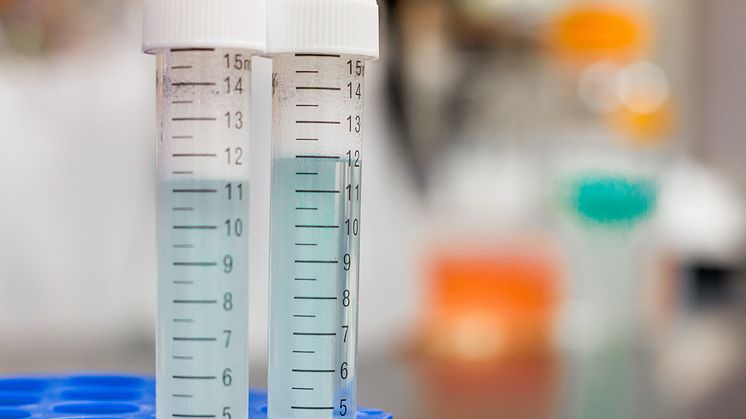 Toleranzia väljer en till indikation inom autoimmuna orphan-sjukdomar 