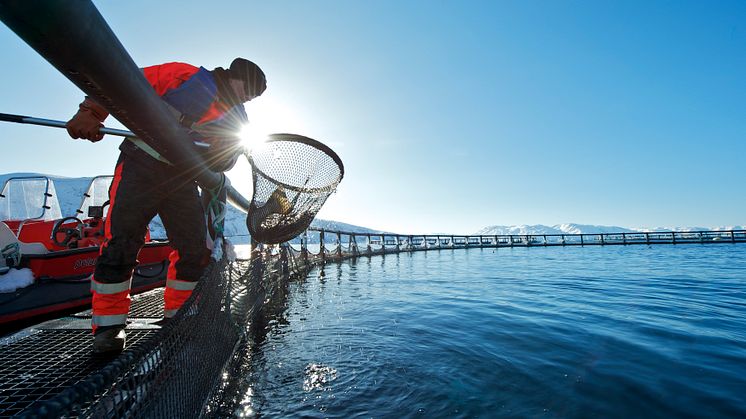 Seafood is key to rebuilding blue economies post-Corona