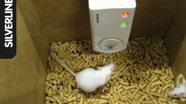 Vetenskaplig test bevisar effekt hos Mus & Rått Fritt™