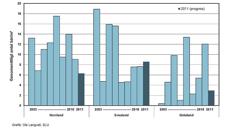 Antal blåbär per kvadratmeter (figur 2)