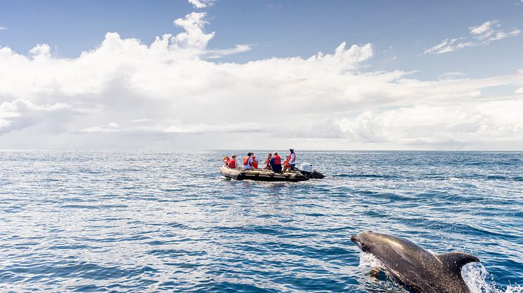 Galapagos-Ecuador-HGR-154109-Photo_Ashton_Ray_Hansen
