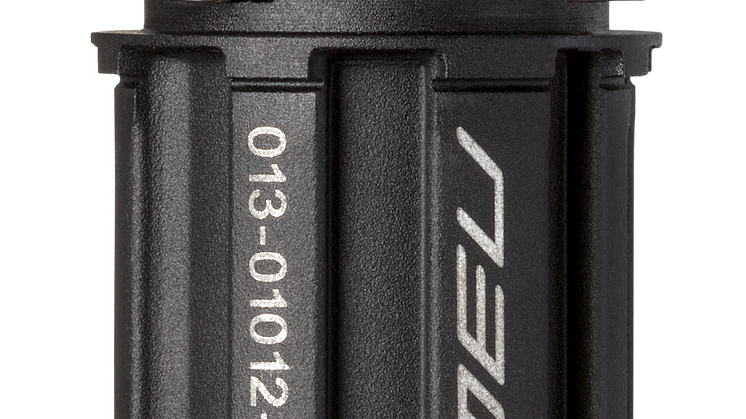Garmin Freilaufkörper Campagnolo N3W 