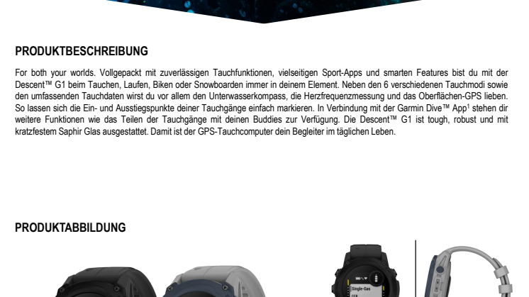 Datenblatt Garmin CH Descent-G1_FH