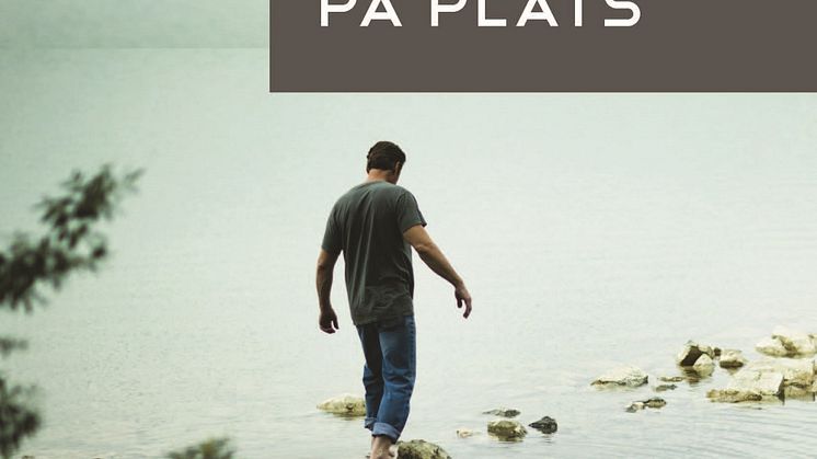 Omslagsbild: När allting faller på plats (Tommy Hellsten)