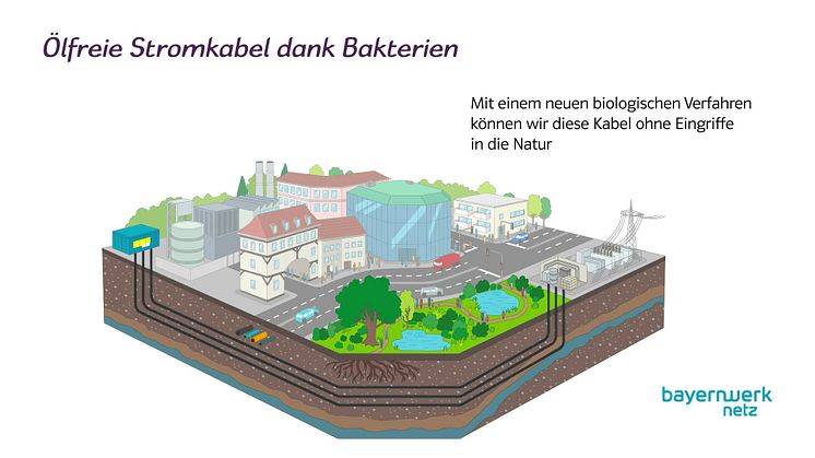 JPK 2022: Projektvideo - ODB