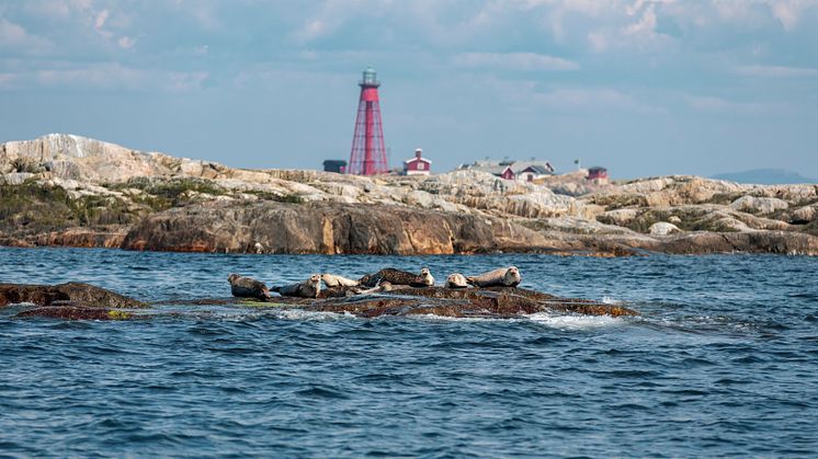 PaterNoster_Stylt_seal2.jpg