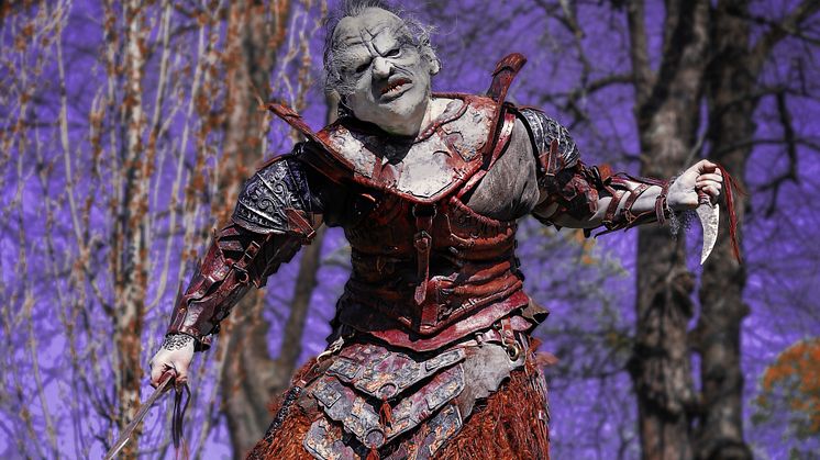 Cosplay Chronicles Sörmlands museum Gorbag