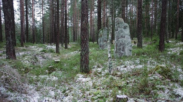 Nu får fler tillgång till kulturmiljön vid Björkemosse