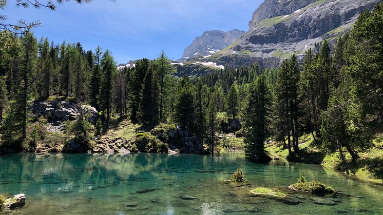 Arvenseeli in Kandersteg II 