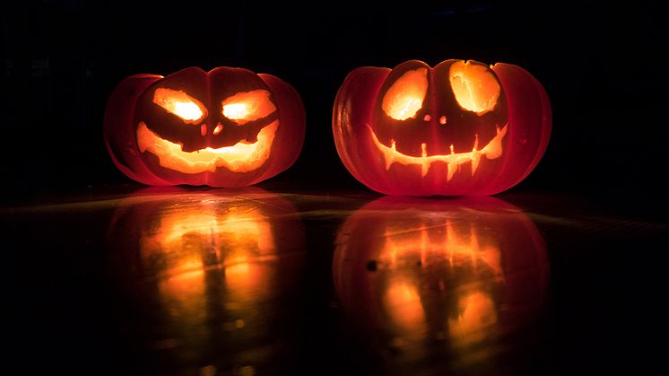 Höstlovet i Bergsjön bjuder på massor av roliga och spännande aktiviteter. Vad sägs om teater, ansiktsmålning, dödskallemasker, familjedisco, halloweenfest eller att läsa och skriva läskiga berättelser? 