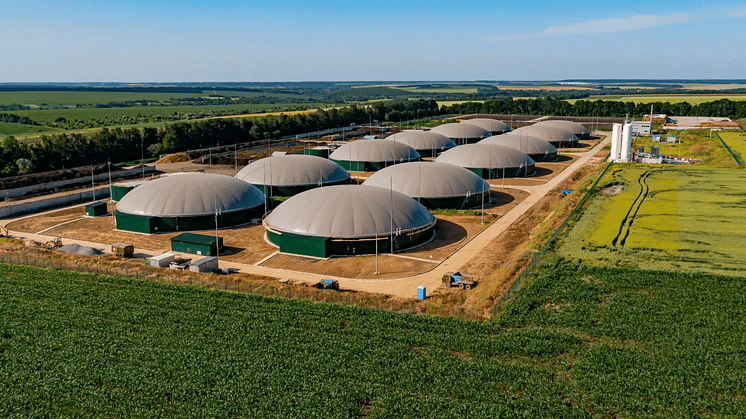 Bioveas biomassaanläggning i Elfenbenskusten. Foto: EAAIF
