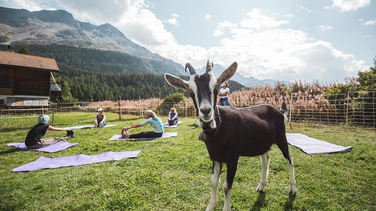 Geissenyoga, Engadin ©ESTM 