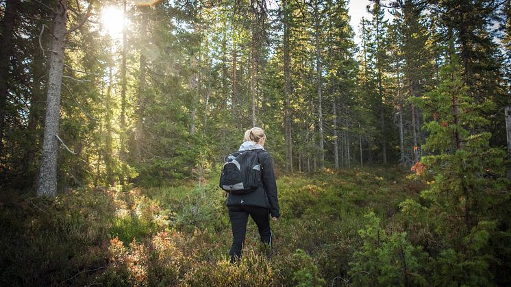 Dalarna Leksand fotograf Anna Holm