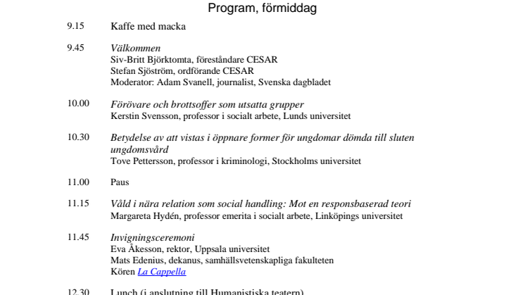 Program_17okt