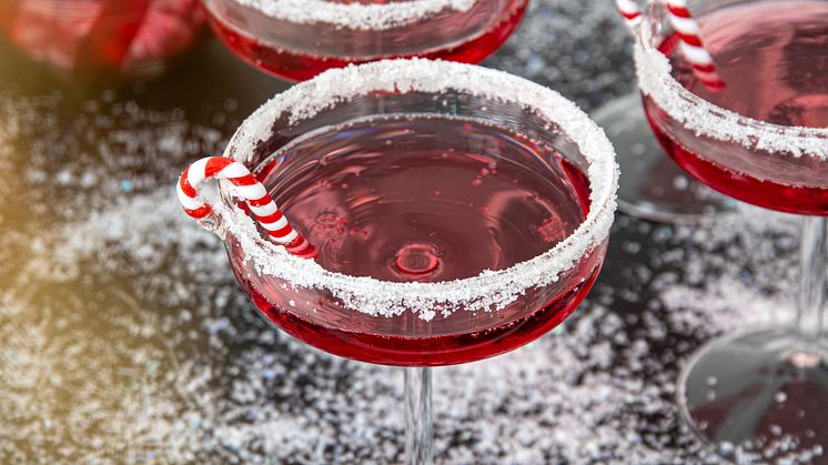 Jul-24-glas-Cane kopiera.jpg