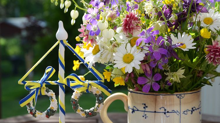 Fira midsommar i Halmstad. Foto: MostPhotos