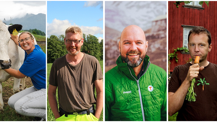 Den norske juryen: Kristin Waagen, Bjørn Gimming, Dag Terje Klarp Solvang og Andreas Viestad. Foto: Eline Karlsdatter/Marius Dalseg/Geitmyra