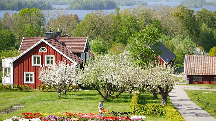 Småland lanserar ny webbportal