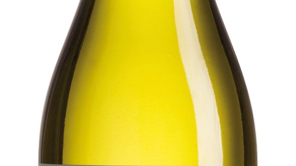 Castillo de Molina Reserva Sauvignon Blanc 