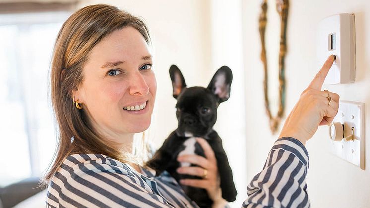Är timpris ett elavtal för dig? Här får du konkreta tips på vad du ska tänka på!