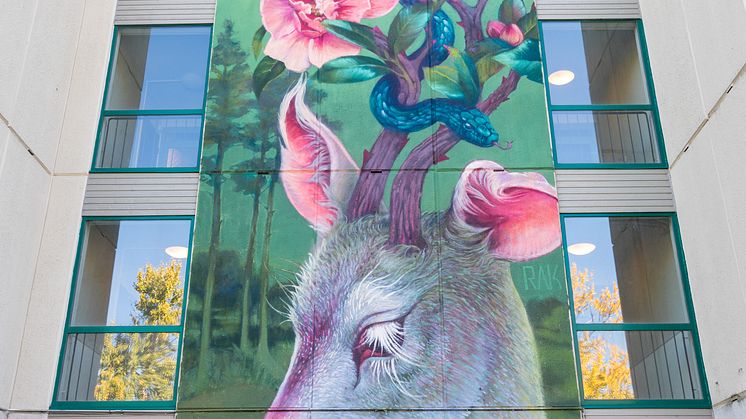 Natalia Rak for UPEA18