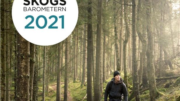 Trots orosmoln ser skogsägarna ljust på skogen som inkomstkälla