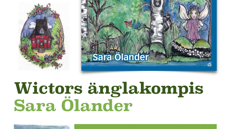 VUXENVÄRLDENS MÖTE MED BARNENS HEMLIGA LIV