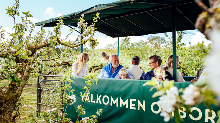 Åk med på en Äppelblomssafari på Kiviks Musteri.