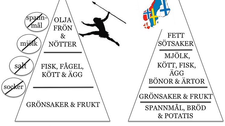 Kostpyramid för paleolitisk kost respektive kost enligt de nordiska näringsrekommendationerna. Illustration: Caroline Blomquist. Fri för publicering.