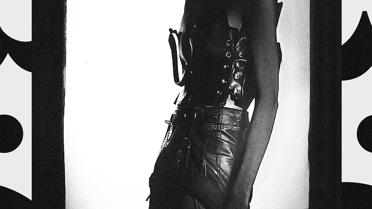 torso_design_Vanja Weichselbaumer.png