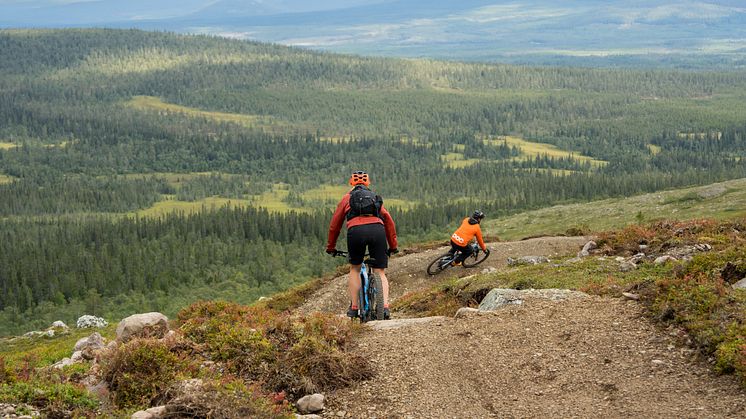 Lofsdalens Fjällpark MTB koras till Sveriges bästa MTB-område 2024